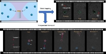 Colloidal Nanotweezers are New Tool for Advanced Particle Manipulation