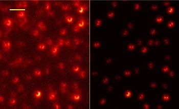 Graphene Layer Enables Advance in Super-Resolution Microscopy