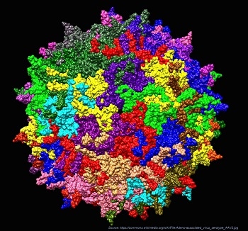 Quantifying Adeno-Associated Virus Aggregation