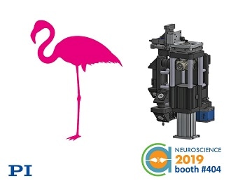 Ground-breaking Modular Research Microscope, Showcasing in PI Booth at Neuroscience 2019