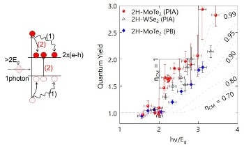 New Phenomenon in 2D Semiconductors Could Boost Efficiency of Future Solar Cells