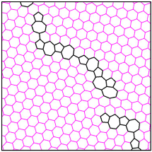Grain Boundaries in Graphene Do Not Affect Spin Transport