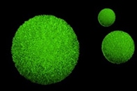 New Technology to Reveal Nanoscale Architectures of Specimen Constituents