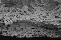 A New Approach to Transform Nanofiber Membranes into 3D Scaffolds