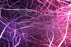 New Bioelectronic Ammonia Gas Sensor Uses Protein Nanowires