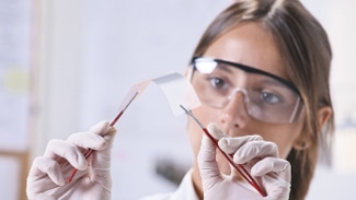 Researchers Develop New Magnetic Field Sensor Based on Magnetoplasmonic Crystal