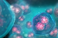 Nanobowl-Stabilized Liposomes Effectively Deliver Chemotherapy Drugs to Cancer Cells