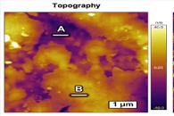 Creating New Nanoscale Topography on Durable Materials to Fight Infections