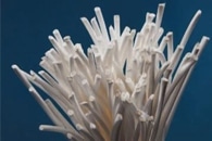 “Nanobrush” is a Viable Tool to Advance Energy and Information Technologies