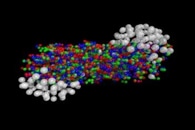New Fleet of Nanocars is Set for Next Grand Prix in 2021