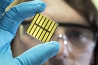 Researchers Develop Graphene Sensors to Track Safety and Freshness of Food
