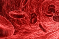 New Nanomaterial Study Could Help Create Stable, Simple COVID-19 Vaccine Patch