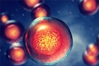 New Technique can Identify and Quantify Viral RNA in Living Cells