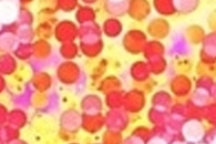 Zebrafish Embryos Reveal the Journey of Nanoparticles Travelling Through the Blood