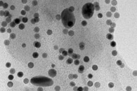 Using Fluorescent Nanosensors to Detect Bacteria