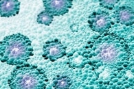 New Nanomaterial from Silk of Gorse Spider Mite has Biomedical Properties