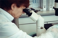 New Study Could Revolutionize the Field of Fluorescence Lifetime Microscopy