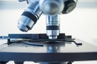 Researchers Find a Way to Enhance the Sensitivity of Existing Microscopy Technology