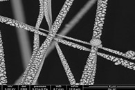 Novel Techniques Capture First-Ever Atomic Resolution Video of Crystal Formation