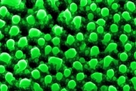 Novel Gel-Creation Method Using Nanoparticles Could Have a Variety of Industrial Uses