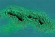 A Novel Method to Construct Efficient-While-Little-Toxic Nanozymes