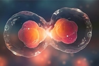 Researchers Use Gold Nanoparticles to 'Seek Out' Bone Stem Cells