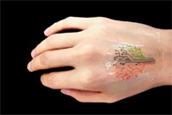 Researchers Develop a Novel Implantable Sensor Based on Color-Stable Gold Nanoparticles
