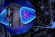 Using Nanopore Sequencing for DNA Methylation Discovery