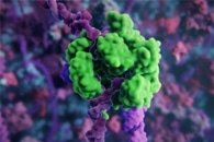 Researchers Suggest New Approach to Develop Better Nanopore Sensors