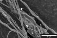 New Filter Made from Polymer Nanothreads Captures Nearly 100% Coronavirus Aerosols