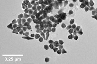 Graphene-Based Nanozymes can be Used to Identify L-Cysteine in Serum