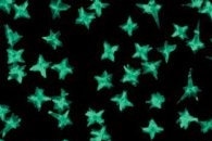 Tiny "Nanoswimmers" Could be Used in Everything from Industrial Clean-Ups to Medication Delivery