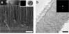 Silicon Nanowire Thermoelectric Breakthrough Could Lead to Electric Cars and Cell Phone Recharging Through Body Heat