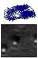 Optical Microrheology Video Method Extracts Mechanical Properties of Liquid Gel Interfaces