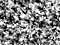 Controlling Electrical Conductivity in Carbon Nanotube Composites