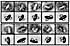 Individual Protein Membranes Can By Studied One by One With Nanosized Tool