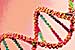 New Technique for Assessing Radiation Damage to DNA