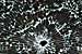 Self Repairing Materials Use Tiny Technologies to Fix Themselves