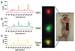 Using Nanotechnology and Nanoparticle Based Imaging to Produce Whole Body Images Showing Cancer Tumor Locations