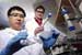 Nanoparticle Contamination of Water Depends on Subtle Difference in the Water Itself