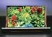 Higher Performance and Lower Cost Display Screens to Result from OLED Alliance Between DuPont and Dainippon Screens