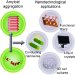 Amyloids Have Have Potential as a Nanomaterials