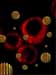 Striped Nanoparticles Can Enter Cells Without Rupturing Them and are Key to Nanoparticle Drug Delivery