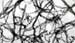 Lower Cost Carbon Nanotubes and a New Website for Cheap Tubes