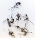 Using Minuscule Barcodes to Detect Disease