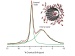Snapshot of Water Inside Carbon Nanotubes