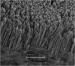 Using Nanotechnology to Boost Boiling Efficiency