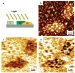 Mapping Electrical Properties with Nanoscopic Detail