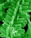 Researchers Discover Method to Induce and Suppress Branching of Nanorods