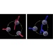 Effect of Spin Chirality on the Transport Properties in Solid-State Materials
